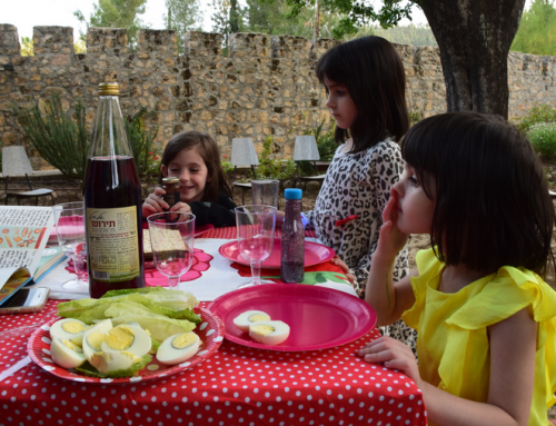 ליל הסדר האלטרנטיבי שלי