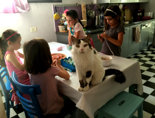 מסיבת יצירה לילדים עם פסטה